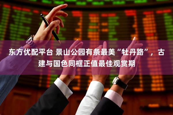 东方优配平台 景山公园有条最美“牡丹路”，古建与国色同框正值最佳观赏期
